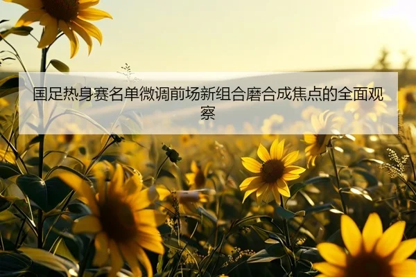 国足热身赛名单微调前场新组合磨合成焦点的全面观察 - AOASPORTS