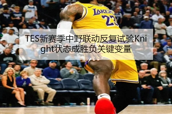 TES新赛季中野联动反复试验Knight状态成胜负关键变量 | AOASPORTS